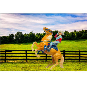 Paard en cowboy kussen