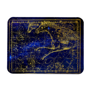 paard - en dolfijnconstellatie magnet magneet