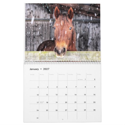 Paard en ezel kalender 2025 (Jan 2027)