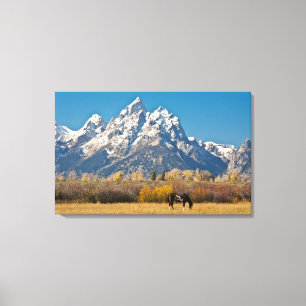 Paard en Grand Tetons, Moose Head Ranch Canvas Afdruk