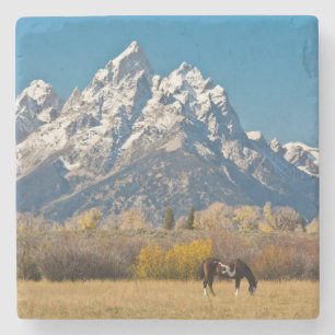 Paard en Grand Tetons, Moose Head Ranch Stenen Onderzetter