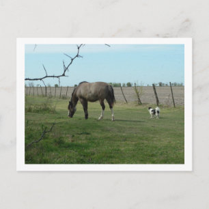 paard en hond briefkaart
