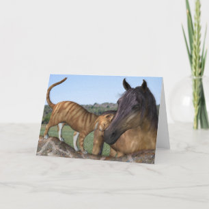 Paard en kat, "Love Thy Neigh-Gesponnen" Wenskaart Kaart