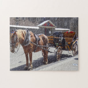 Paard en koets Montreal. Legpuzzel