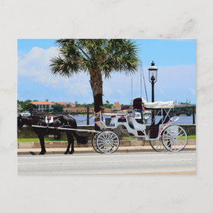 Paard en koets St. Augustine, Fl. Briefkaart