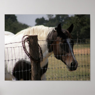 Paard en omheining verven poster