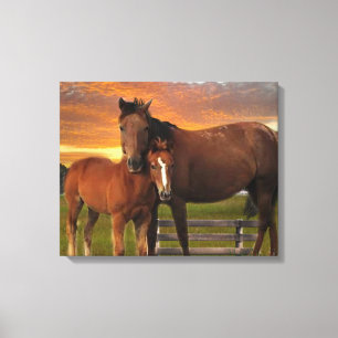 Paard en pony canvas afdruk
