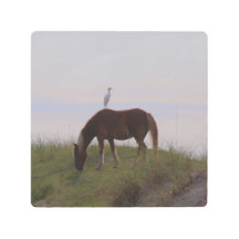Paard en ruiter in de duinen
