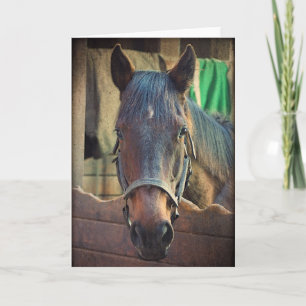  paard en stabiel Wenskaart Kaart