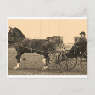  paard en vervoer in Sepia Briefkaart