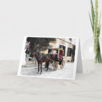 Paard en vervoer, Mdina, Malta