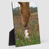 Paard en voorbloem Bunny Fotoplaat (Zijkant)