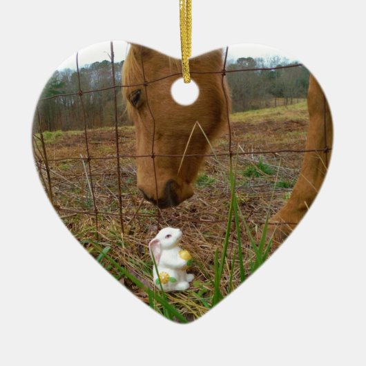 Paard en voorbloem Bunny Keramisch Ornament (Voorkant)