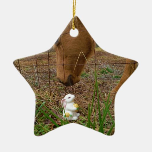 Paard en voorbloem Bunny Keramisch Ornament (Voorkant)