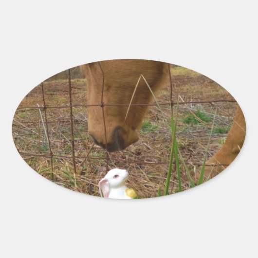 Paard en voorbloem Bunny Ovale Sticker (Voorkant)
