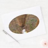 Paard en voorbloem Bunny Ovale Sticker (Envelop)