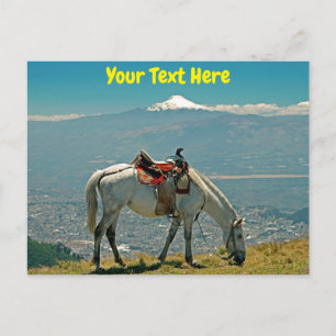 paard en vulkaan, Quito, Ecuador Briefkaart