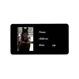 Paard Etiket