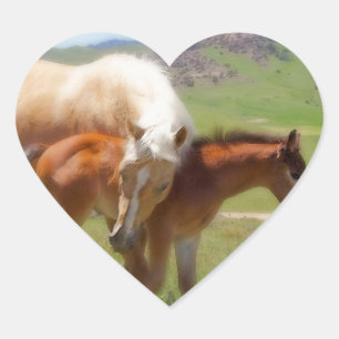 Paard foto merrie en veulen huis en keuken decor hart sticker