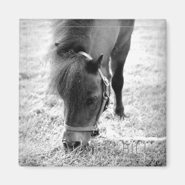 Paard Foto Tijdloze Keepsake Zwart Wit Pet Love Magneet