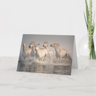 Paard galopperend in het Middellandse Zeewater Kaart
