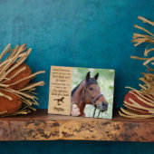 Paard Gedenkplaats Dierherinnering Fotoplaat (Zijkant)