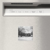 Paard getrokken slee NYC magneet (Insitu (Vaatwasser))