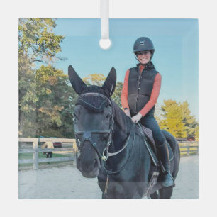 Paard glazen ornament speciale bestelling