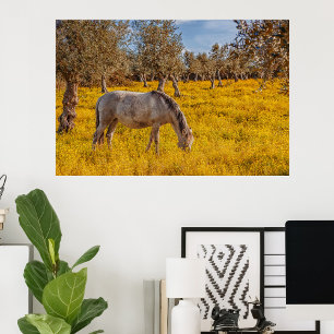 Paard grazen in een gele bloemen weide foto afdruk