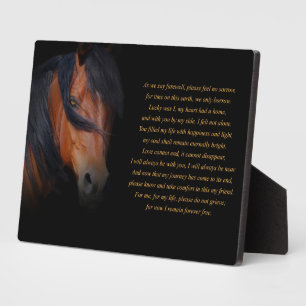 Paard-herdenkingsmonument met spiritueel gedicht fotoplaat