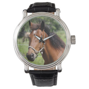 Paard Horloge
