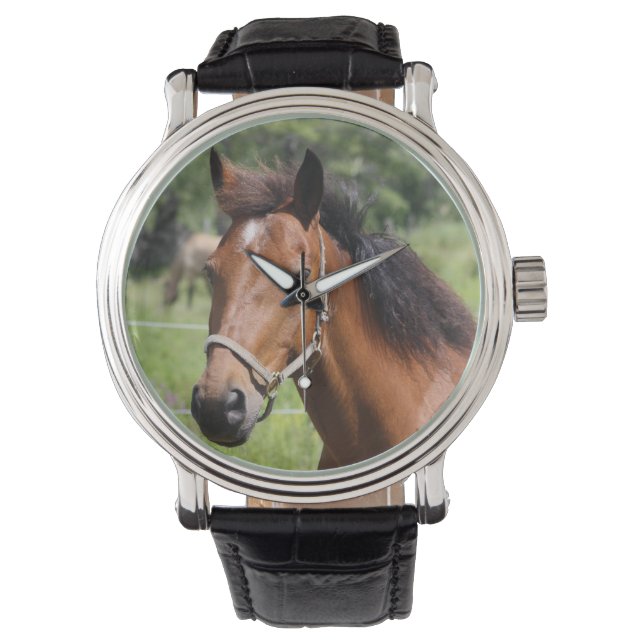 Paard Horloge (Voorkant)
