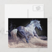 Paard in actie briefkaart (Voorkant / Achterkant)