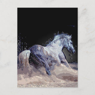 Paard in actie briefkaart