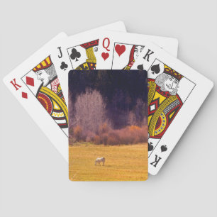 Paard in de herfst I Pokerkaarten