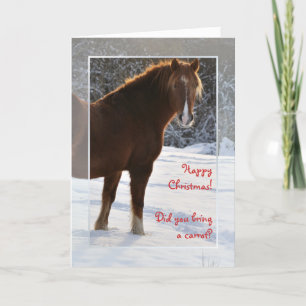 Paard in de kaart van sneeuwKerstmis