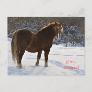 Paard in de sneeuw Kerst Feestdagenkaart