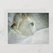 paard in de winter briefkaart (Voorkant / Achterkant)