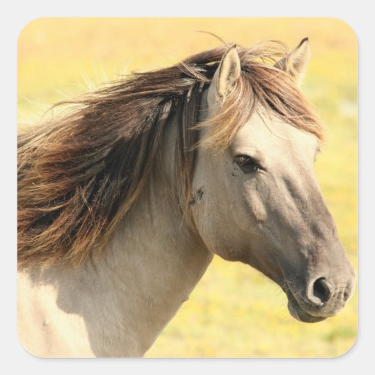 Paard in het wild vierkante sticker (Voorkant)