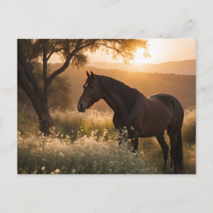 Paard in landschap briefkaart