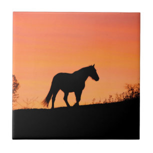 Paard in Zuidwestelijke Zonsopgang Tegeltje