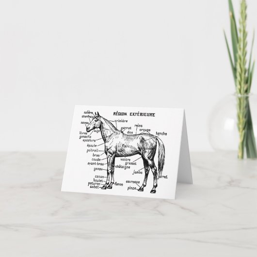 Paard Kaart (Voorkant)