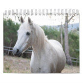 Paard Kalender (Hoes)