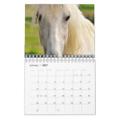 Paard Kalender (Jan 2027)