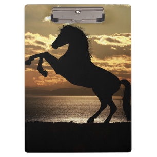 paard klembord