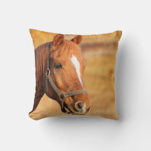 Paard Kussen