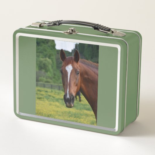 paard lunchbox (Voorkant)