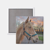 Paard Magneet (Voorkant / Achterkant)