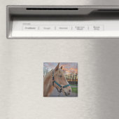 Paard Magneet (Insitu (Vaatwasser))