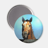 Paard Magneet (Voorkant / Achterkant)